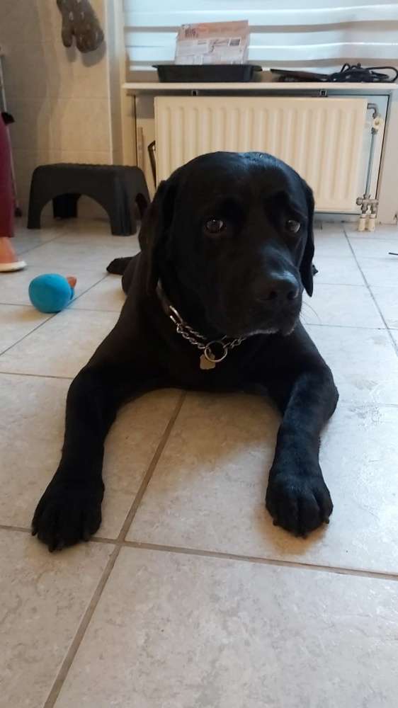 Henri